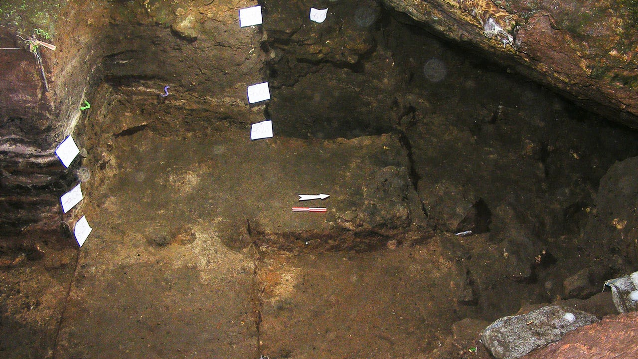 a dig site inside the Satsurblia Cave in western Georgia