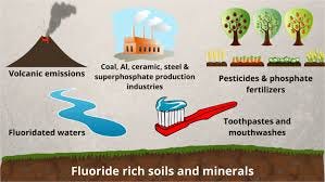 Main fluoride sources from the environment | Download Scientific Diagram