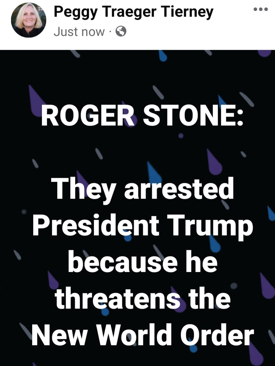 May be an image of 1 person and text that says 'Peggy Traeger Tierney Just now ROGER STONE: They arrested President Trump because he threatens the New World Order'