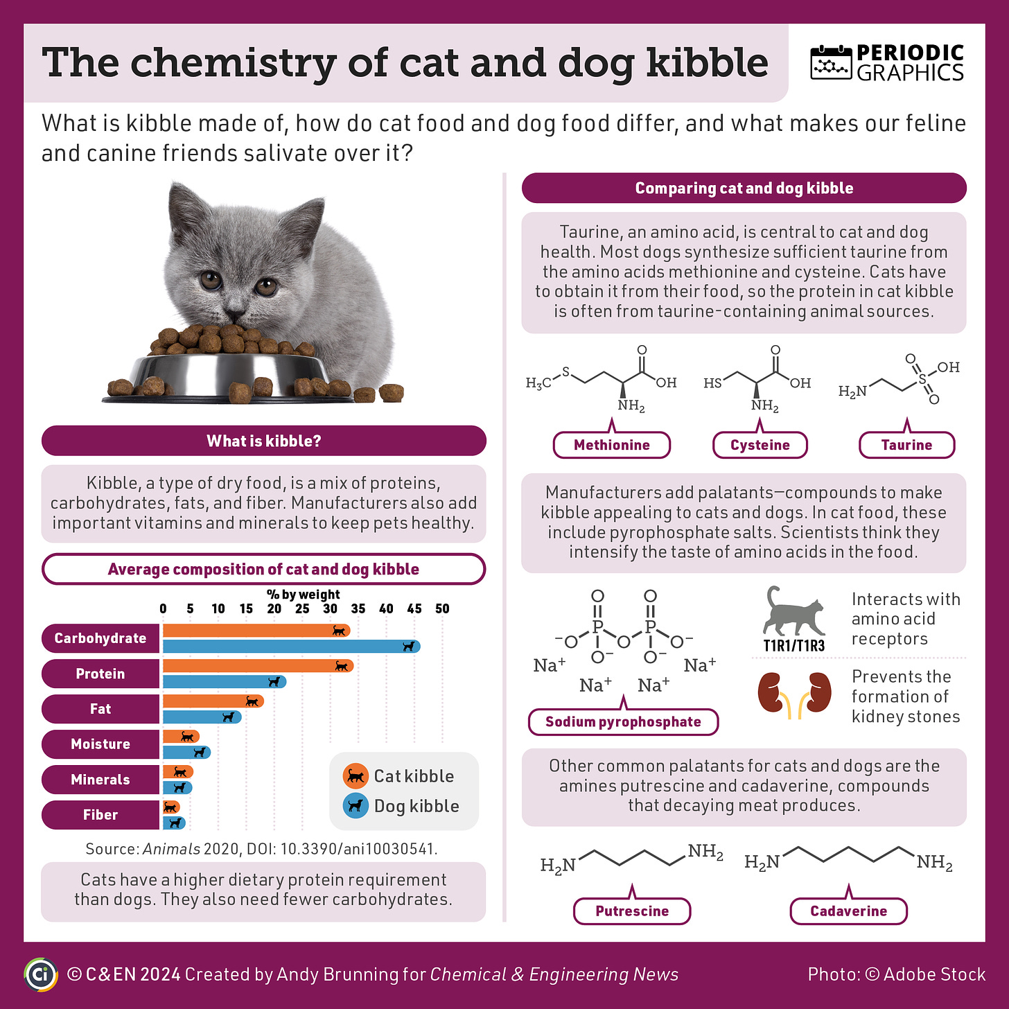 Infographic on the chemistry of dog and cat kibble.   Kibble is a mix of proteins, carbohydrates, fats, and fiber. Manufacturers also add important vitamins and minerals to keep pets healthy.   Cats have a higher dietary protein requirement than dogs. They also need fewer carbohydrates. Cat kibble protein is often from animal sources so that it contains taurine. Most dogs synthesize sufficient taurine from the amino acids methionine and cysteine. Cats have to obtain it from their food.  Manufacturers add palatants to make kibble appealing to cats and dogs. In cat food, these include pyrophosphate salts. Scientists think they intensify the taste of amino acids in the food. Other common palatants for cats and dogs are the amines putrescine and cadaverine, compounds that decaying meat produces.