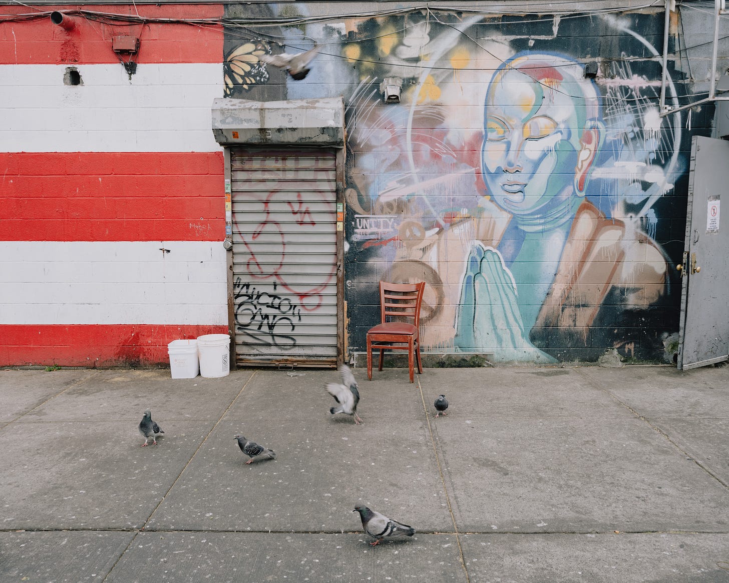 pigeons-walk-in-front-of-chair-and-mural-of-Buddha