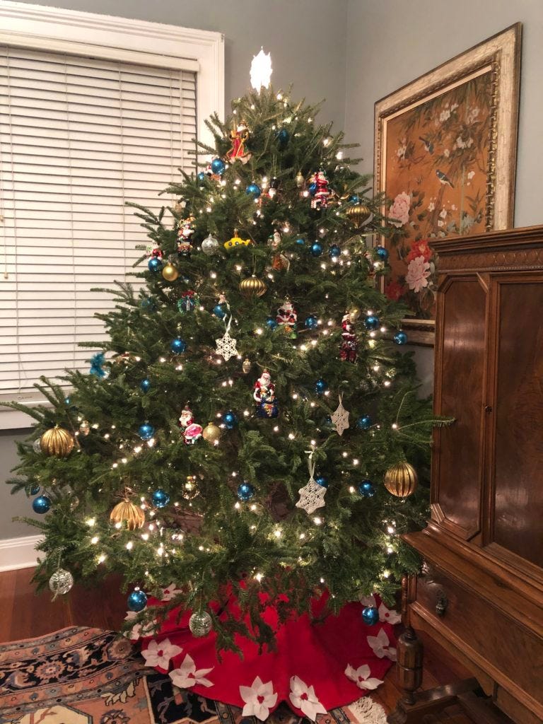 Fraser fir Christmas tree Fraser fir Christmas tree
