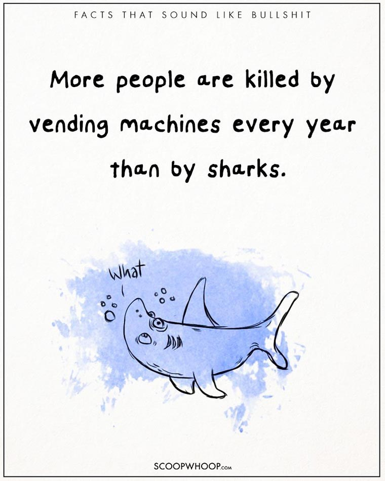 Text - FACTS THAT SOUND LIKE BULLSHIT More people are killed by vending machines every year than by sharks. what SCOOPWHOOP.cOM