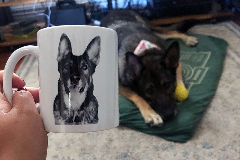 A mug with a German shepherd on it, held in front of a dog lying on a green bed.