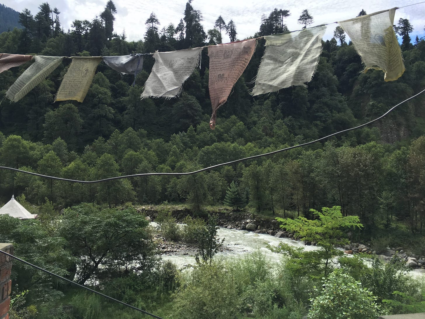 A string of prayer flags in red, white, blue, green, and yellow, hang above black wires. Behind them is a river, with various types of trees growing in the surrounding area.