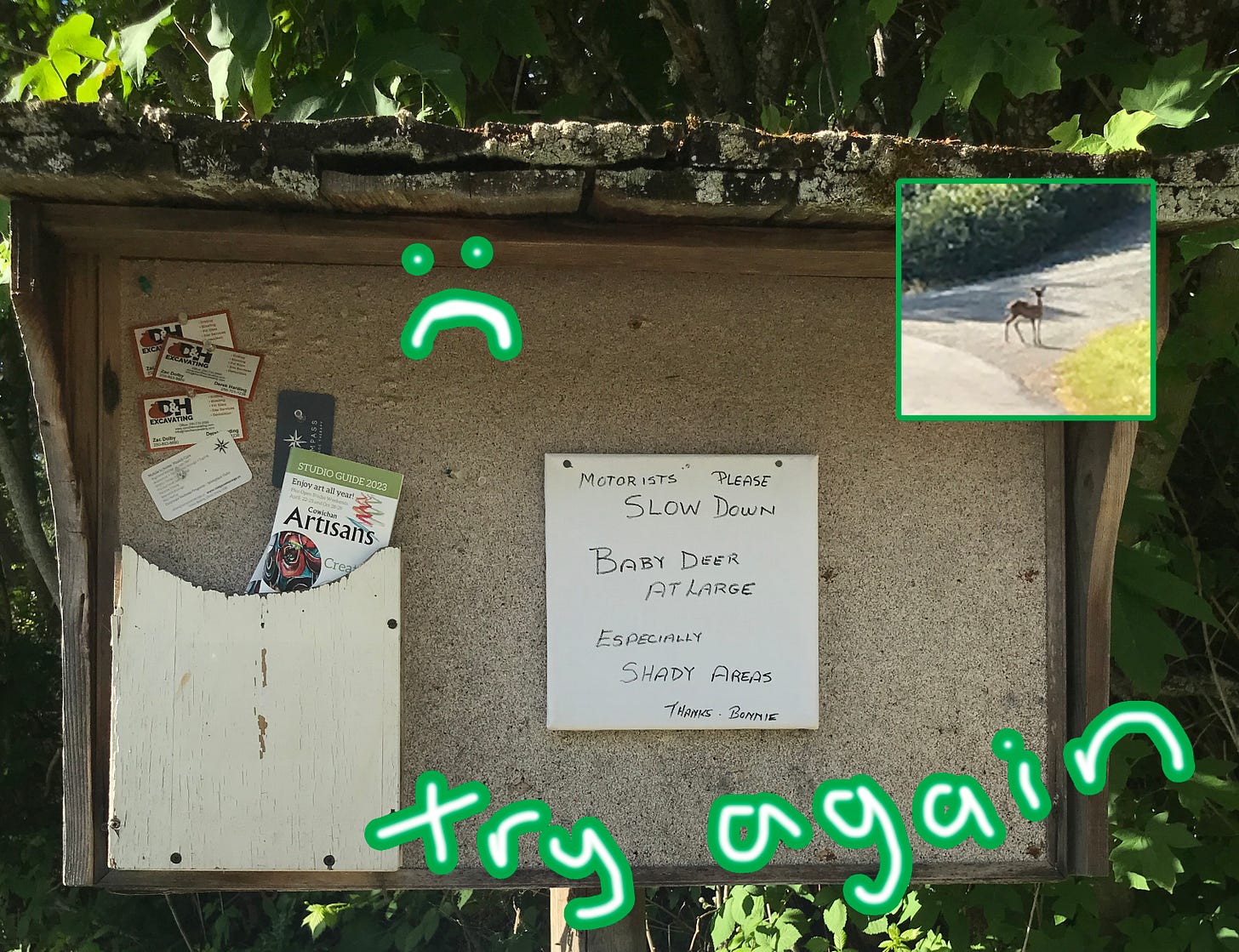 A photograph of a public notice board. A handwritten sign reads “Motorists please slow down. Baby deer at large. Especially shady areas.” A photo of a young deer is collaged in the right hand corner. The words “try again” are written over the photograph in white font with a green outline.