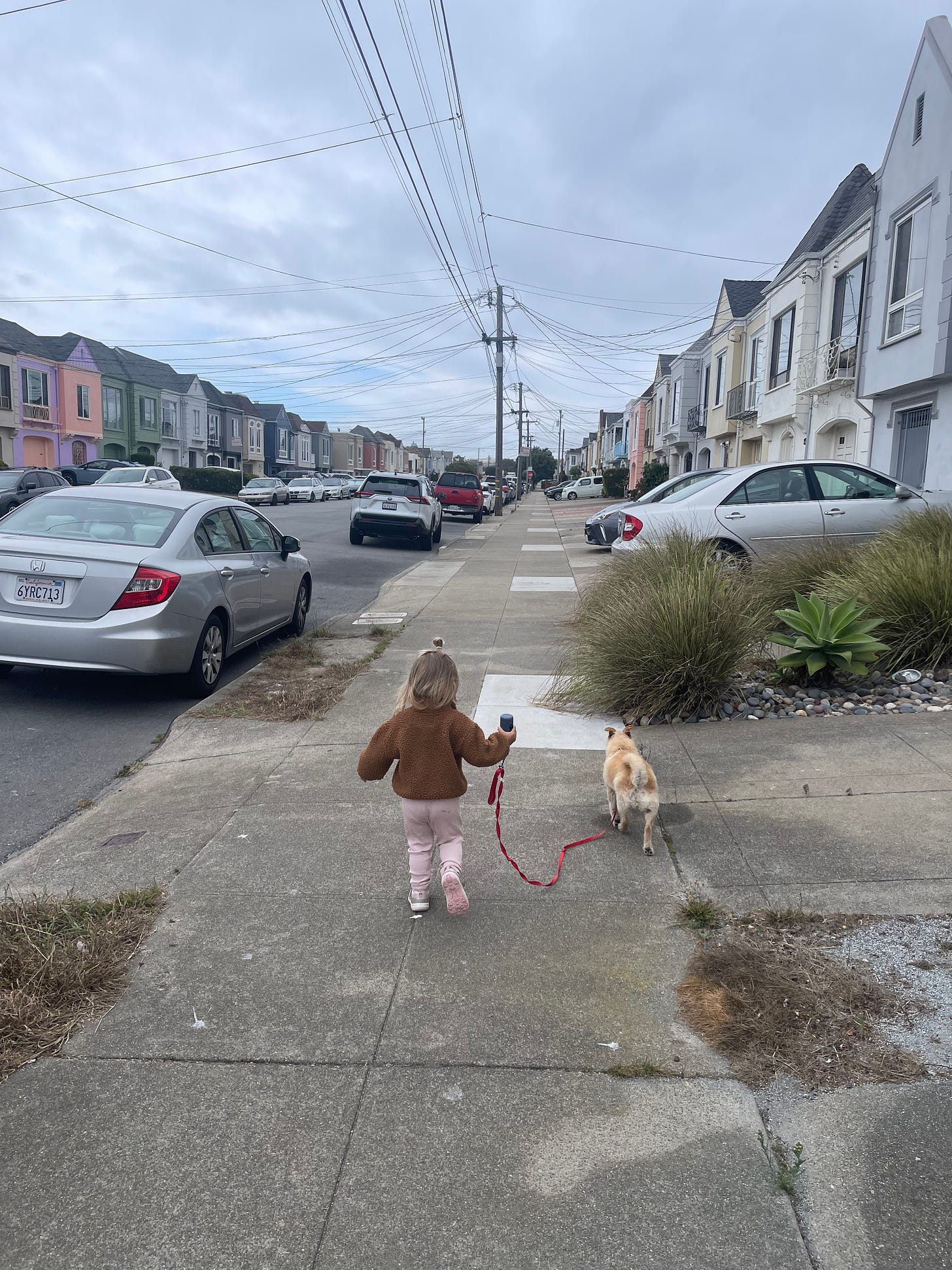 A girl toddler walking her dog on a red leash on the sidewalk