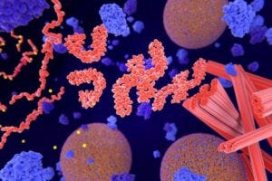 Pathological phosphorylation (yellow) of Tau proteins (red-orange) leads to disintegration of microtubuli in the neuron axon an aggregation of the tau proteins. The transport of synaptic vesicles (orange-blue) is interrupted. Credit: selvanegra on iStock