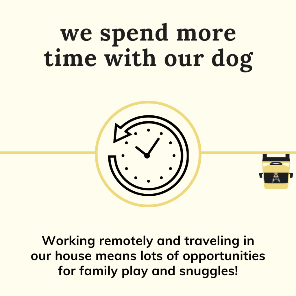 We spend more time with our dog