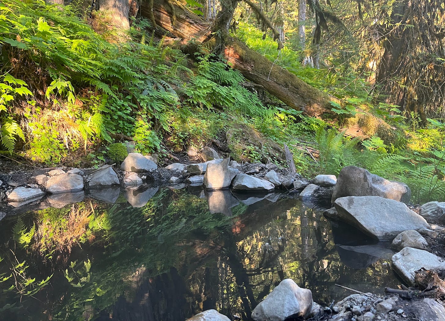 Rocky hot spring in the forest