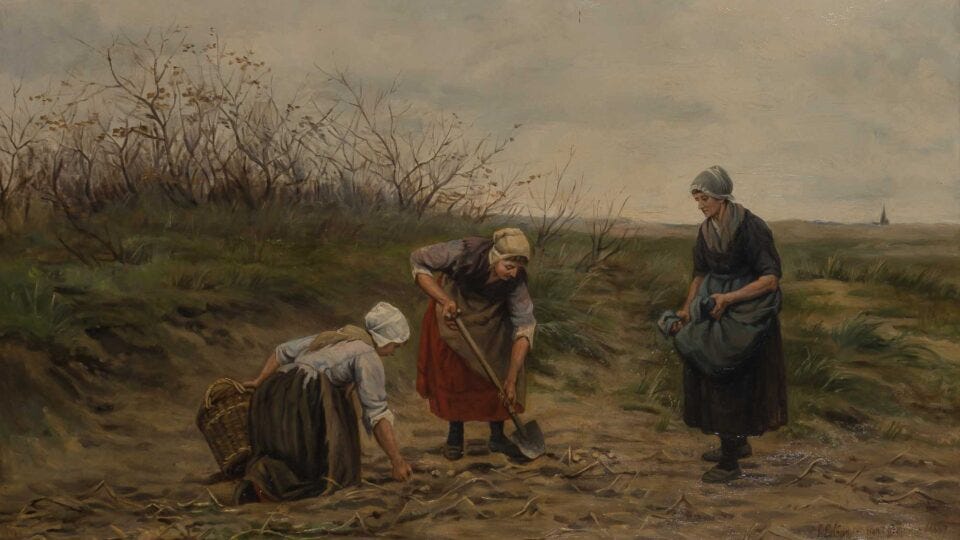 Naar oude meesters Naar oude meesters