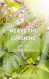 sunshine book cover
