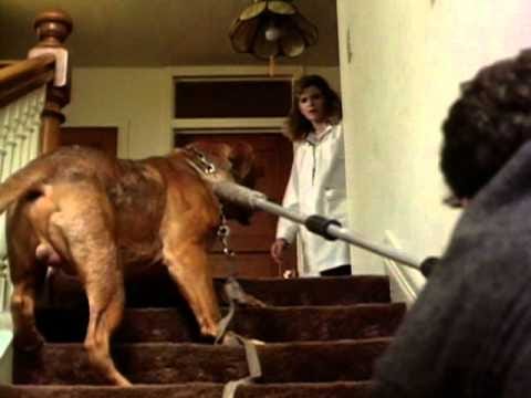 Turner & Hooch: The series is coming!