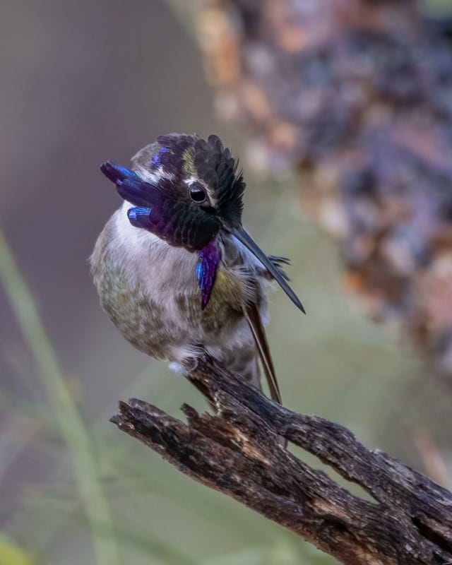 20240312-mby-110-Edit.jpg