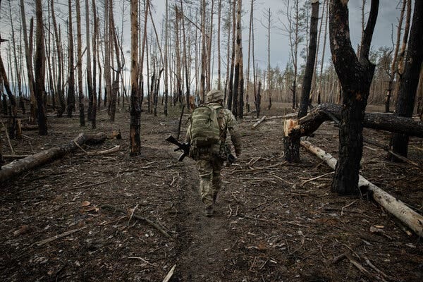 A soldier in camouflage gear in a forest whose trees have been largely stripped of leaves.