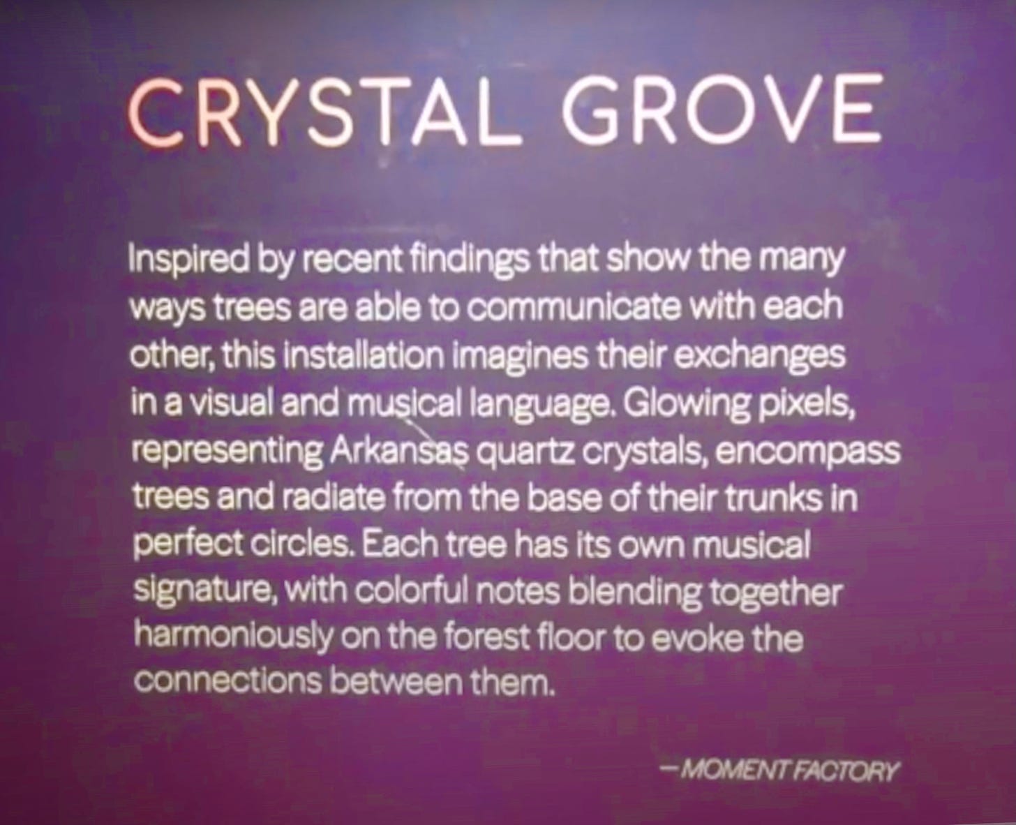Crystal Grove: Inspired by recent findings that show the many ways trees are able to communicate with each other, this installation imagines their exchanges in a visual and musical language. Glowing pixels, representing Arkansas quartz crystals, encompass trees and radiate from the base of their trunks in perfect circles. Each tree has its own musical signature, with colorful notes blending together harmoniously on the forest floor to evoke the connections between them. Moment Factory