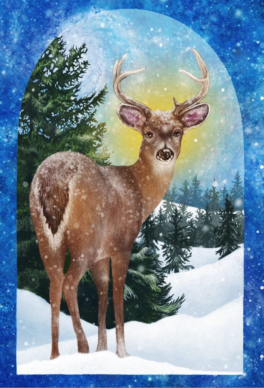 Winter Deer by JPC