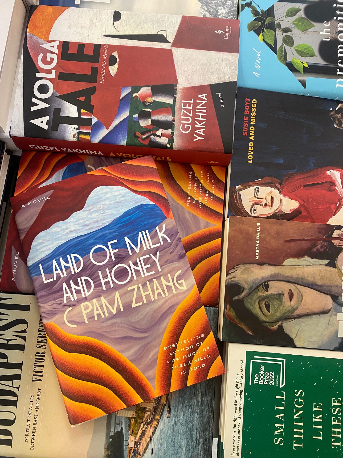 C Pam Zhang book cover