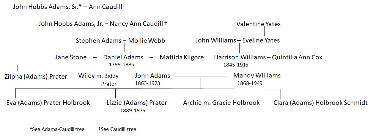 adams williams family tree