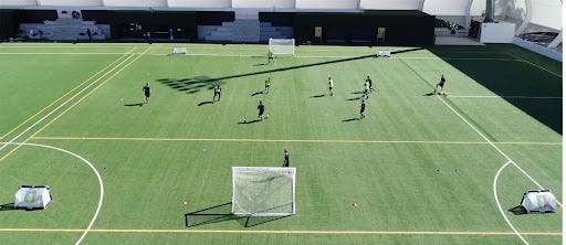 EFFECTS OF SMALL- SIDED GAMES ON THE DEMANDS OF THE GOALKEEPER - CEFARQ