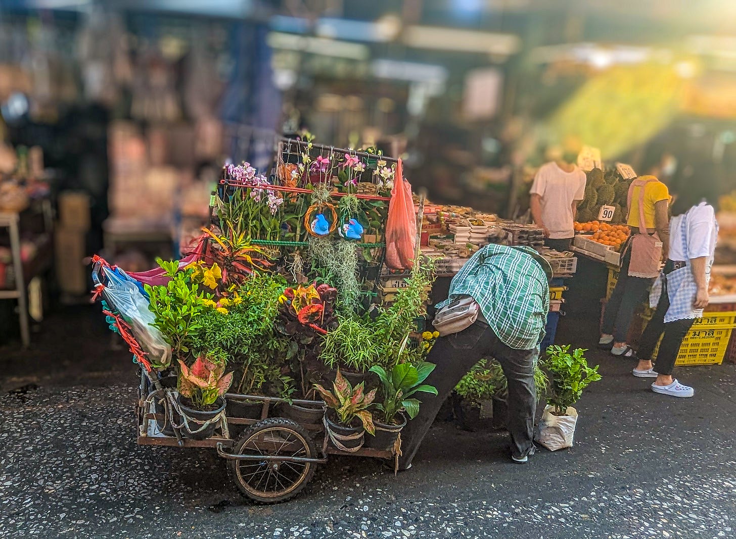 A cart filled with plants and colorful flowers stopped along the sidewalk. 