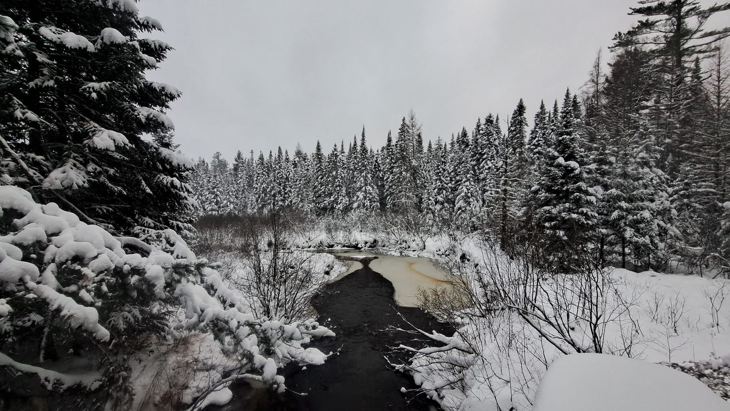 A dark stream flows through snow covered woods