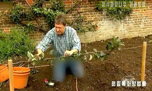 Photo of a gardening TV personality with his jeans blurred out