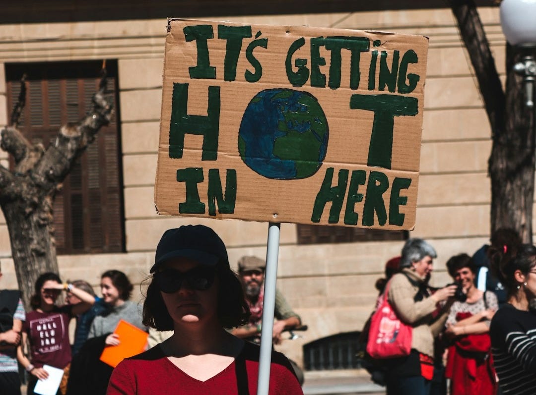 woman holding signboard during daytime