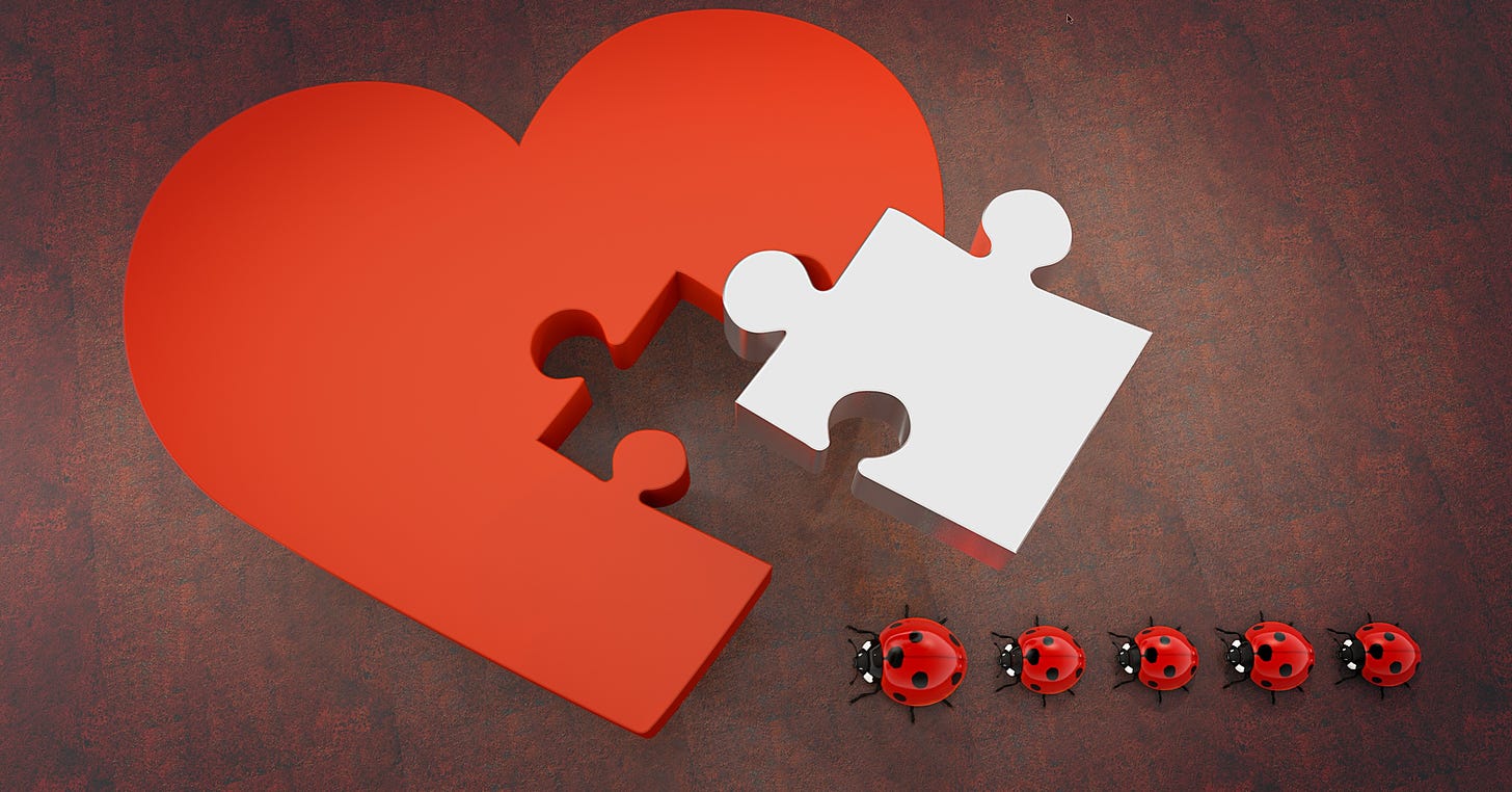 A puzzle piece fitting into a heart with a line of lady bugs below.