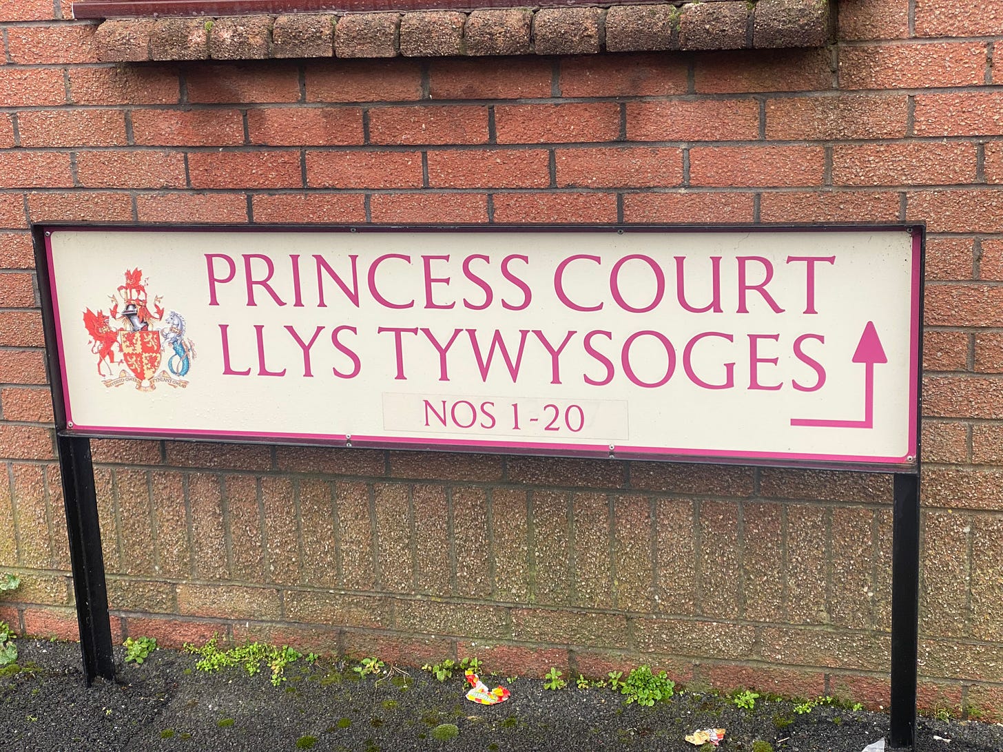 A bilingual street sign (like the first one in this article it carries the town crest as well as the names, but this time the English is first: 'Princess Court' with the Welsh "Llys Tywysoges' beneath.
