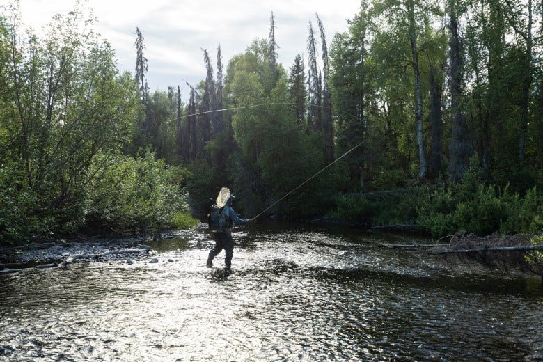 The author casts for trout with this tenkara rod on a creek in southcentral Alaska. 