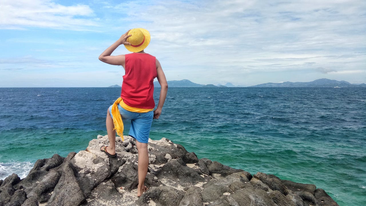 A person standing on a rock looking out at the ocean.