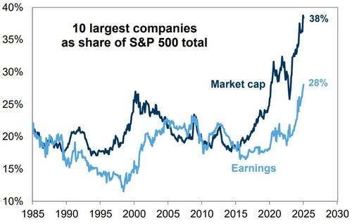 10 largest companies and earnings