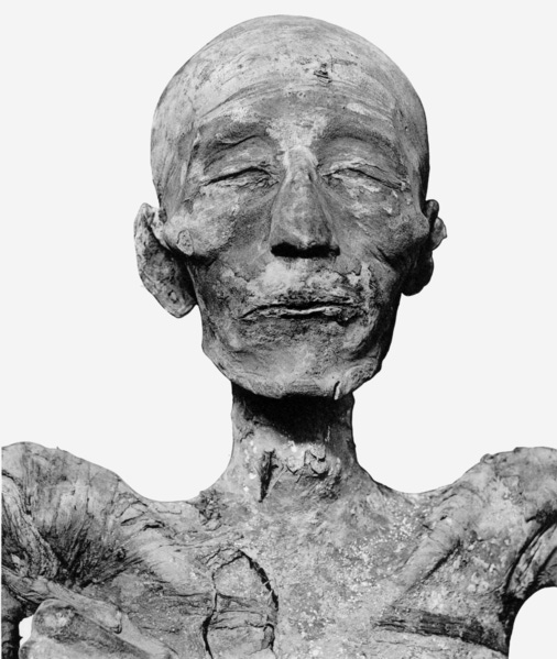 File:Merneptah mummy head (cropped).png