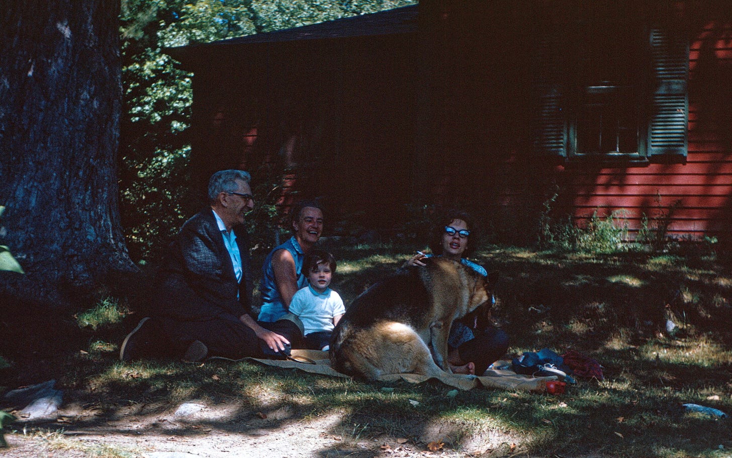 Perry family outside on blanket with a dog