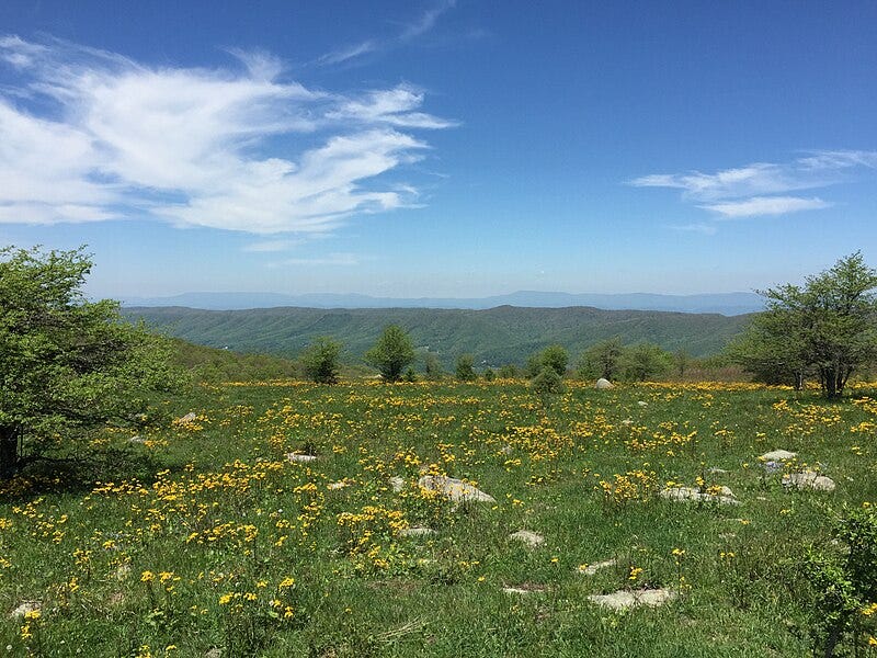 File:2017-05-16 12 39 22 View northwest across a field from the Appalachian Trail in Elk Garden, within the Mount Rogers National Recreation Area along the border of Grayson County, Virginia and Smyth County, Virginia.jpg