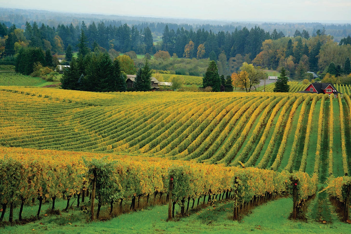 11 Fabulous Facts about the Beautiful Willamette Valley - Go Next