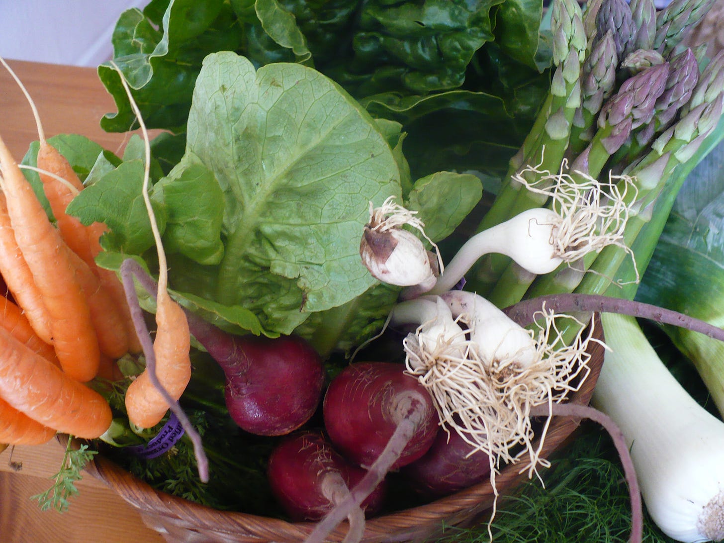 Bowl of fresh vegetables.