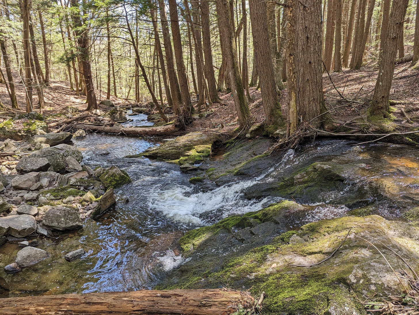 A photo of a stream following over rocks. It's a sunny day, and some of the rocks are covered in moss. Pines and cedars line the stream.