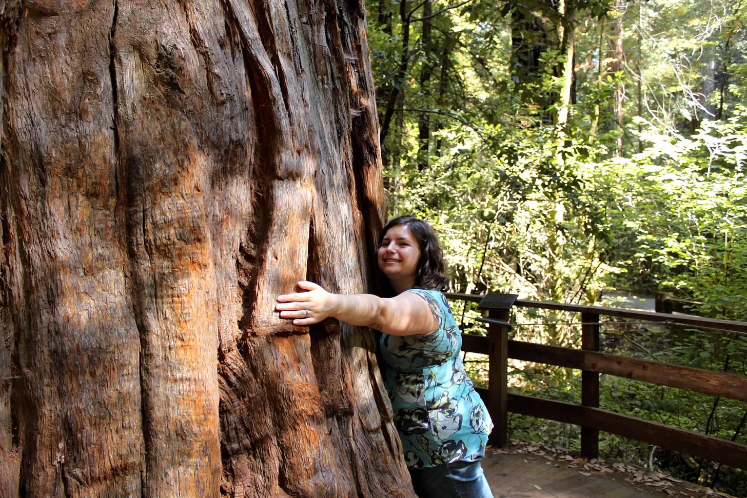 The author smiles and embraces a huge redwood tree trunk in a forest