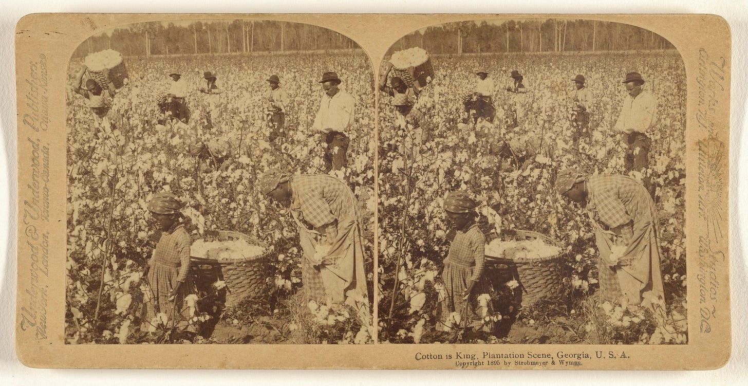 Image from the Fashion and Race Database™ piece on cotton. Strohmeyer & Wyman, Cotton is King – A Plantation Scene, Georgia, U.S.A., 1895, albumen silver print. 84.XC.702.59. [Credit: The J. Paul Getty Museum, Los Angeles].