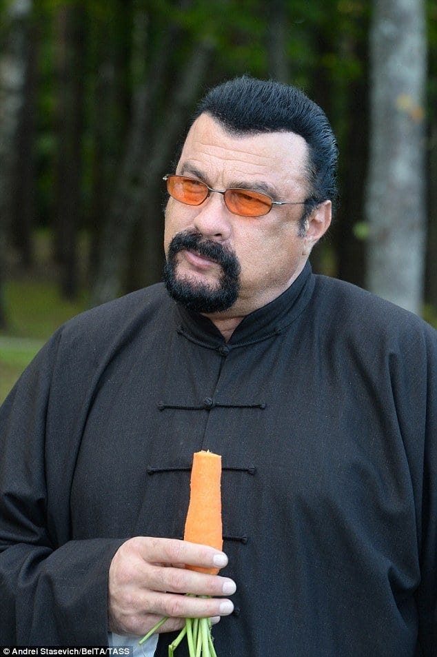 My Season 3 dream character: Steven Seagal! Every top 8 would be Under  Siege, he would just be too Hard to Kill. : r/Tekken