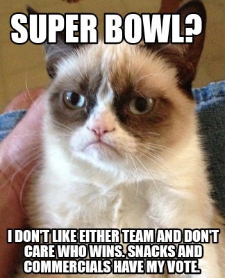 Super Bowl Memes . . . Because I'm Busy | Legends of Windemere
