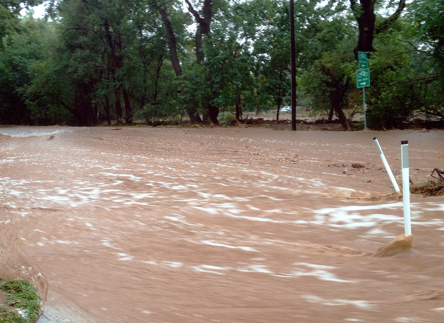 Muddy brown water fills and flows down a street lined with trees