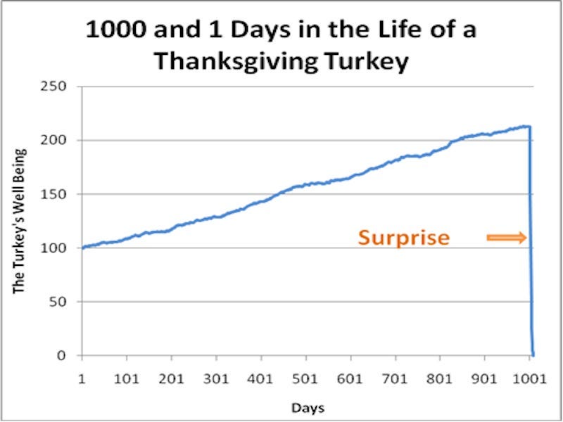 Nassim Taleb's Black Swan Thanksgiving Turkey