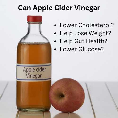 apple cider vinegar health claims: weight loss, glucose lowering, cholesterol lowering?