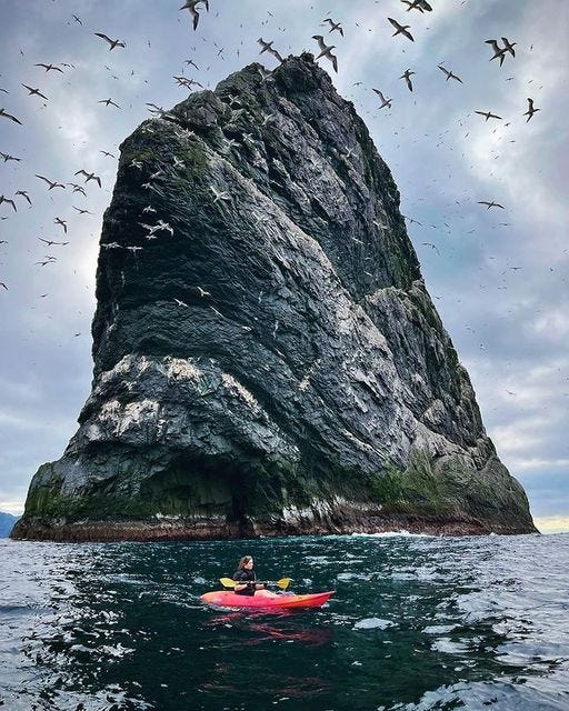 May be an image of 1 person, tufted puffin, kayak and Haystack Rock