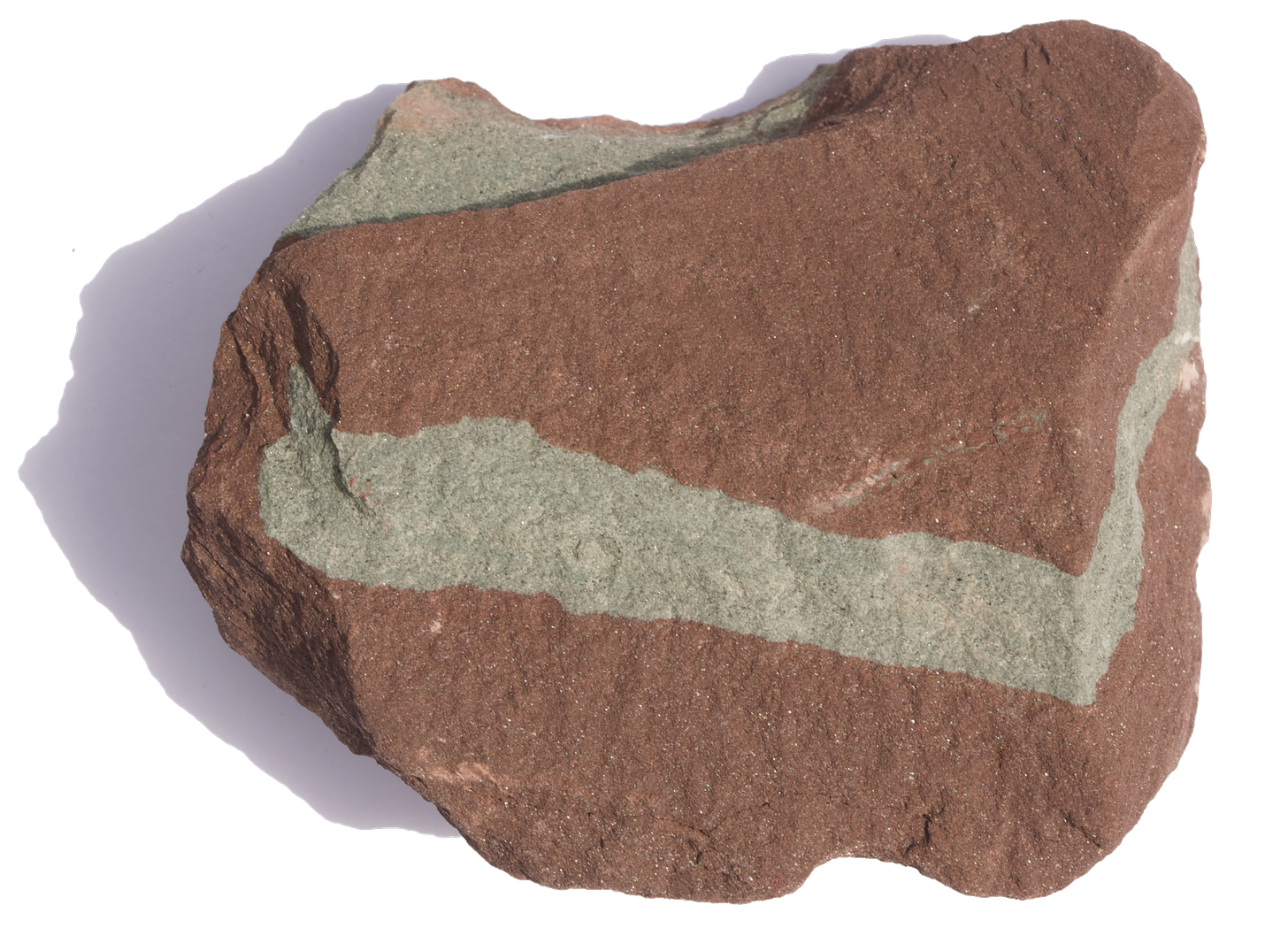 redu tion band in pebble