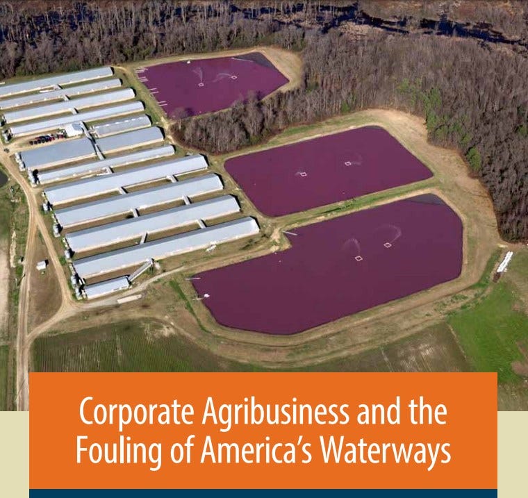 May be an image of text that says 'Corporate Agribusiness and the the Fouling of America's Waterways' May be an image of text that says 'Corporate Agribusiness and the the Fouling of America's Waterways'