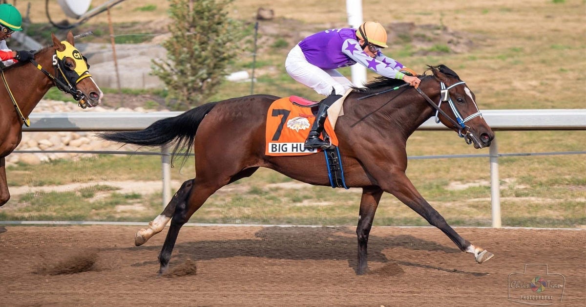 Horses racing at Century Mile.